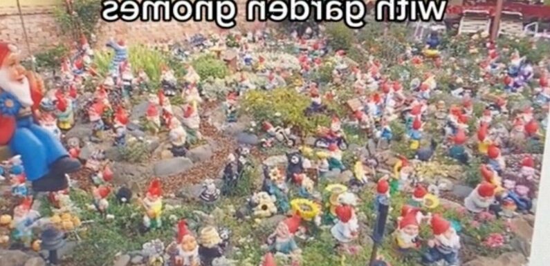 Dark website offers to fill someone’s house with poo-filled garden gnomes