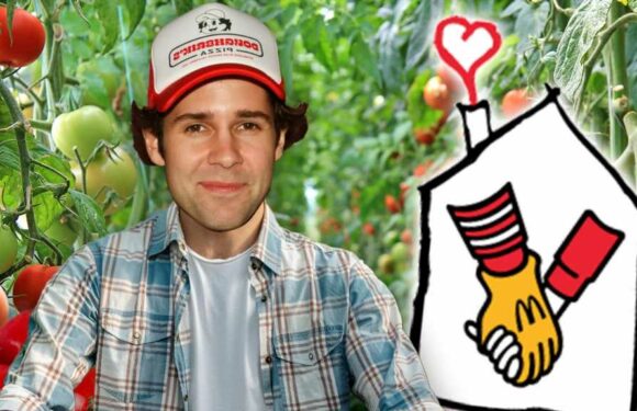 David Dobrik Donates Tomatoes From Pizza Party Launch To Ronald McDonald House