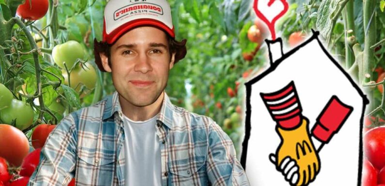 David Dobrik Donates Tomatoes From Pizza Party Launch To Ronald McDonald House