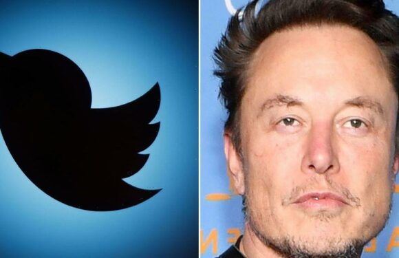 Demanding weekly reports from Twitter staff is ‘not unreasonable’ says Elon Musk