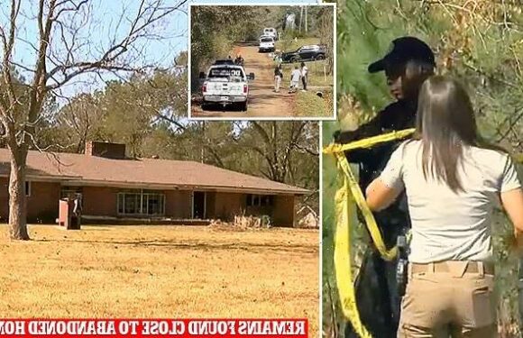 Dog spotted carrying human arm in its mouth; head is still missing