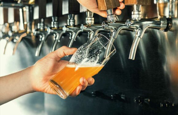 Drinking beer can 'help prevent debilitating and deadly brain disease', scientists say | The Sun