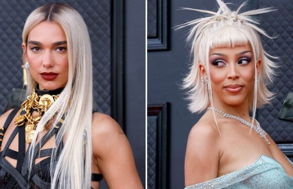 Dua Lipa and Doja Cat Wore the Same Sheer Crop Top Days Apart