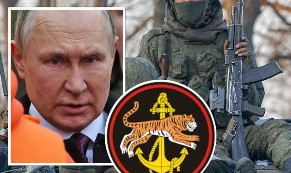 Elite Russian Naval unit rage at ‘baffling’ loss off 300 men