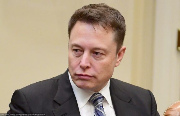 Elon Musk Appoints Himself as Twitter CEO