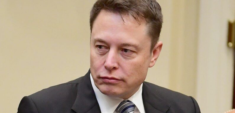 Elon Musk Appoints Himself as Twitter CEO