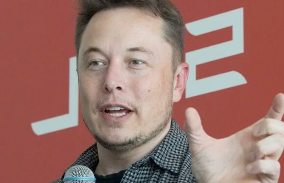 Elon Musk Is Already Reducing His Time At Twitter, Doesnt Want To Be A CEO