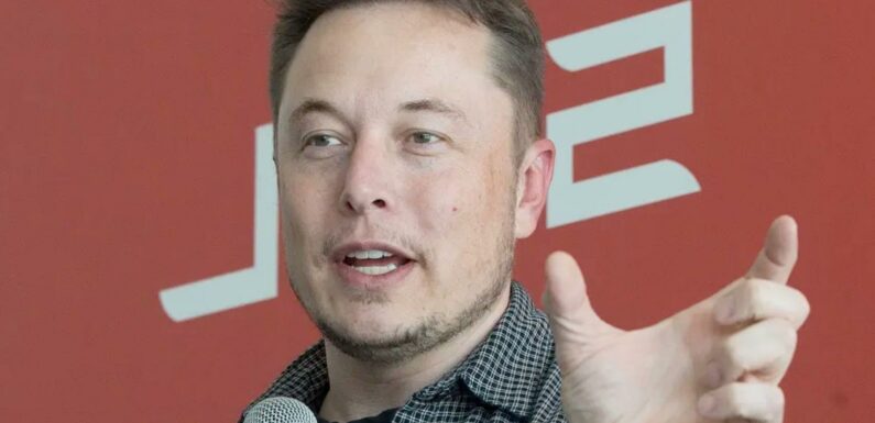 Elon Musk Is Already Reducing His Time At Twitter, Doesnt Want To Be A CEO