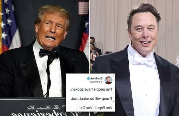 Elon Musk REINSTATES Donald Trump Twitter account after holding poll