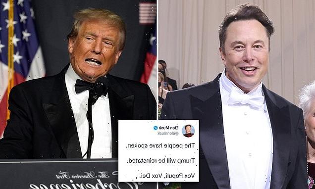 Elon Musk REINSTATES Donald Trump Twitter account after holding poll