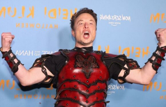 Elon Musk dubbed ‘space Karen’ as insults projected on Twitter headquarters