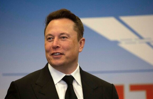 Elon Musk gets into spat with Hollywood A-lister who begs him ‘get off Twitter’