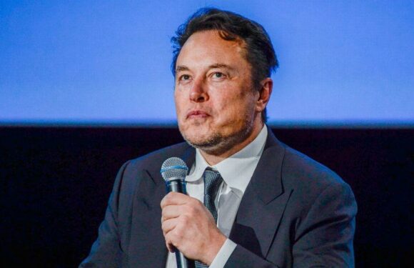 Elon Musk marks ‘painful’ Twitter update that will add key verified change