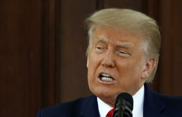 Elon Musk reinstated violent insurrectionist Donald Trump’s Twitter account