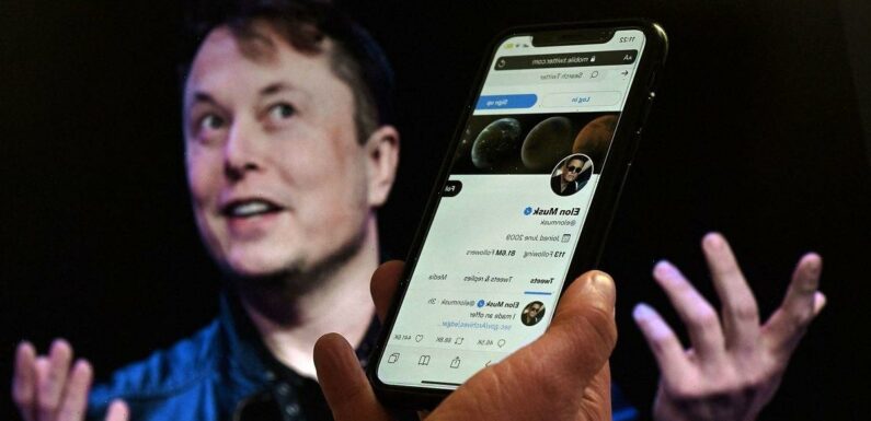 Elon Musk sacks 1000s of Twitter staff by ‘shutting off emails’ by surprise