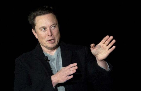 Elon Musk wants someone else to run Twitter even though he only just bought it