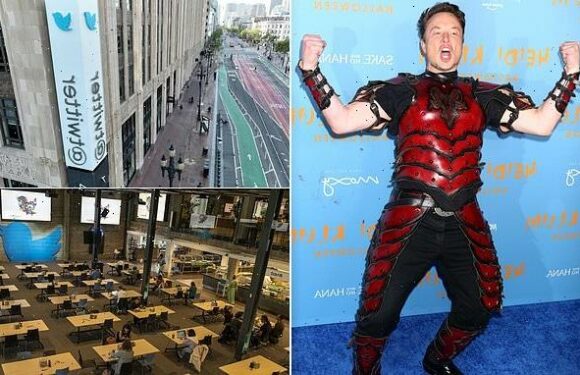 Elon Musk's mass Twitter layoffs begin