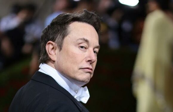Elon Musk’s new Twitter could cause chaos closer to home