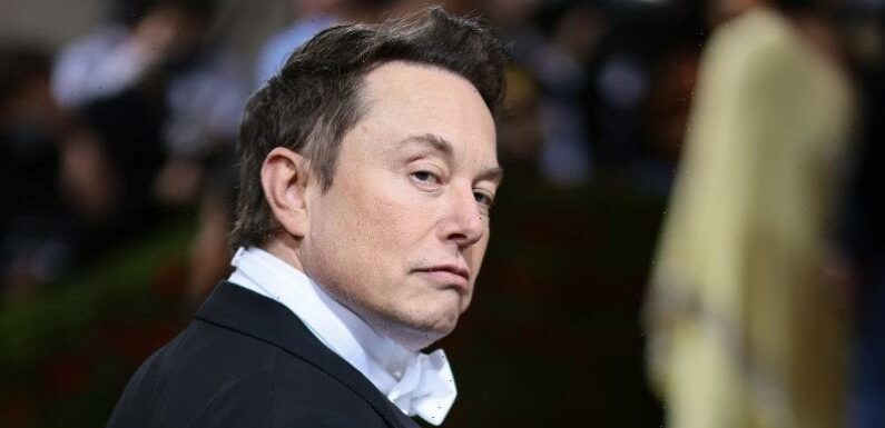 Elon Musk’s new Twitter could cause chaos closer to home