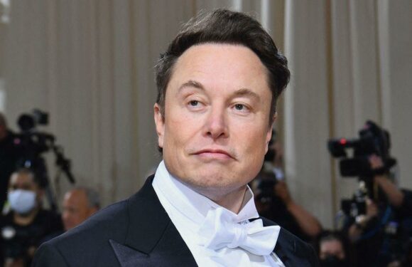 Elon Musk’s ultimatum to staff – say yes to ‘hardcore’ Twitter 2.0 or get fired