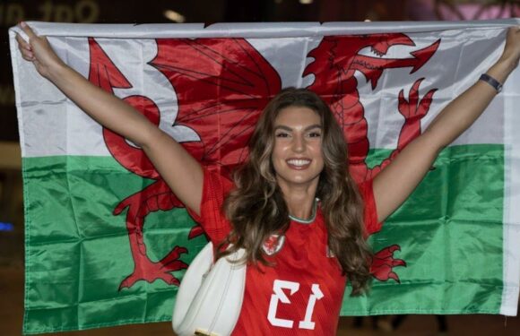 English and Welsh WAGs cheer on their men at World Cup 2022 in Qatar