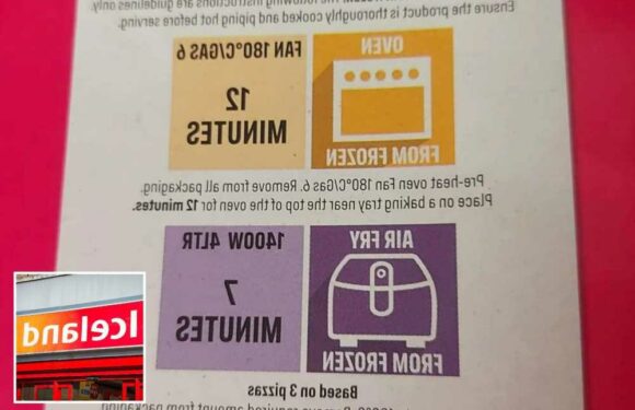 Foodies go wild as they discover Iceland are now putting air fryer cooking instructions on the back of their products | The Sun
