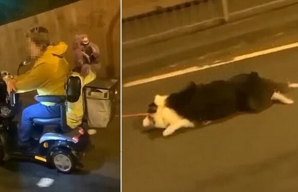 Footage shows dog being dragged by a woman in mobility scooter