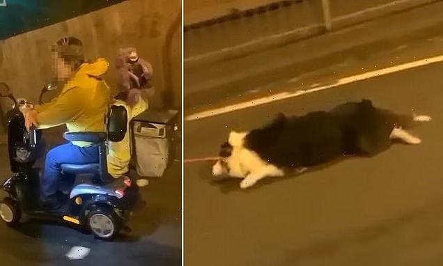 Footage shows dog being dragged by a woman in mobility scooter