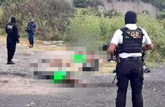 Four dismembered bodies found laid out by motorway with ‘Grand D***’ note