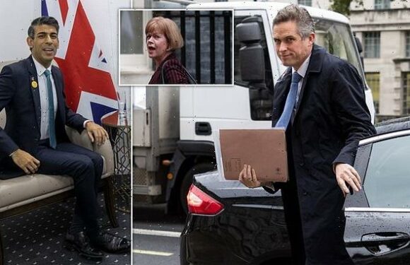 Gavin Williamson 'told senior civil servant to slit their throat'