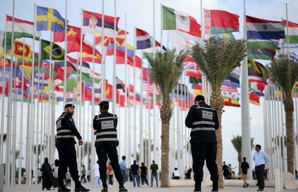 Gay couples will be allowed to hold hands and kiss at Qatar World Cup