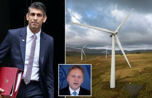 Grant Shapps hints Rishi Sunak WILL U-turn on onshore wind farm ban