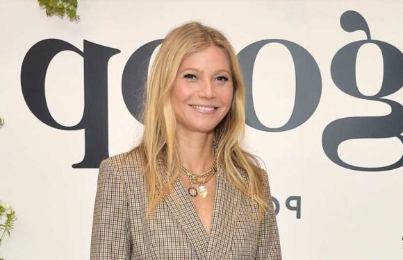 Gwyneth Paltrow's Goop Christmas gift guide includes a $75 ‘bag of poop’ & people can't believe the $28k pick | The Sun