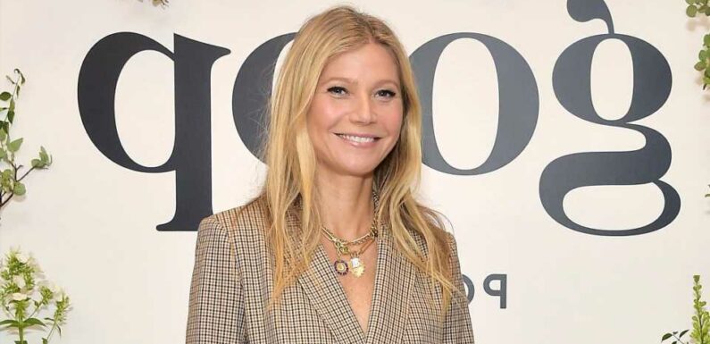 Gwyneth Paltrow's Goop Christmas gift guide includes a $75 ‘bag of poop’ & people can't believe the $28k pick | The Sun