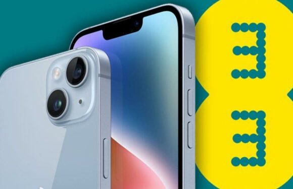 Half-price deals from EE are just what iPhone and Android fans have…