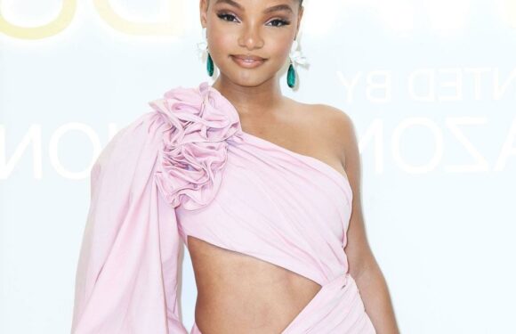 Halle Bailey got a sweet note from a Delta pilot thanking her