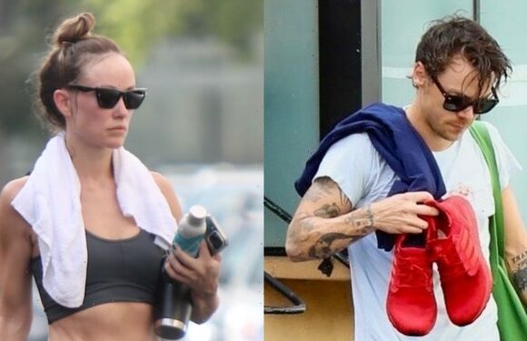 Harry Styles Gets All Sweaty After a Post-Halloween Workout!