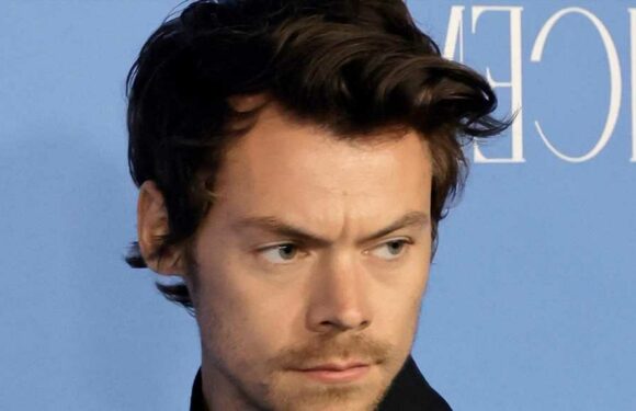 Harry Styles Hit With Flu Bug, Postpones 3 L.A. Concerts