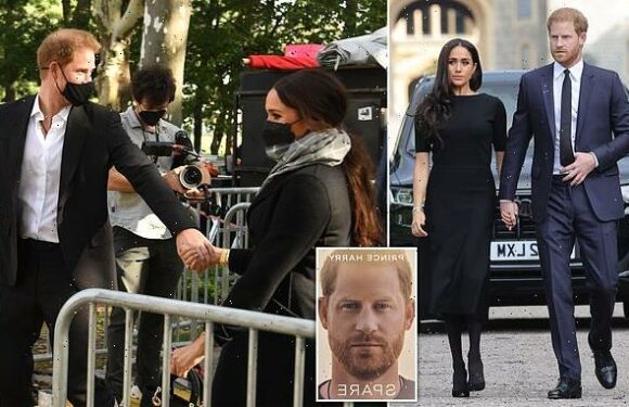 Harry 'is trying to get Netflix series delayed until after Christmas'