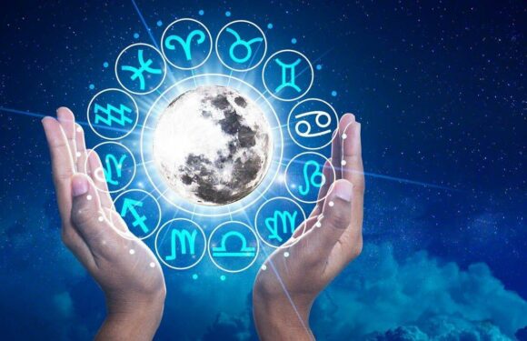 Horoscopes today – Russell Grant’s star sign forecast for November 27