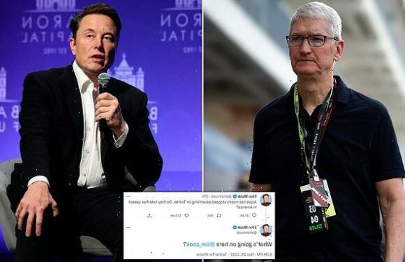 How Tim Cook and Elon Musk have been needling each other for years