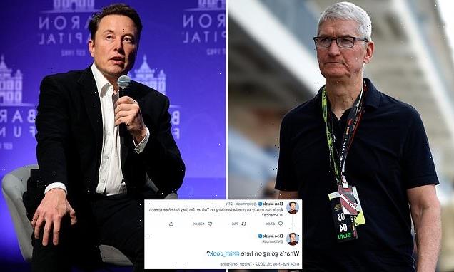 How Tim Cook and Elon Musk have been needling each other for years