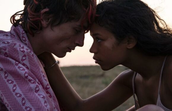 How the ‘Bones and All’ Cannibal Scenes Were Brought to Life: A Baby Bottle, Syrup and Brownies