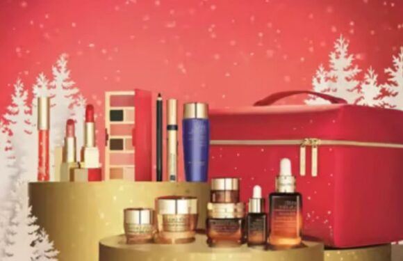 How to get Estée Lauder Ultimate Gift Set for £75 this Black Friday – but its worth £360 | The Sun