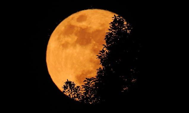 How tomorrow's super blood moon could spark 'chaos' in your life