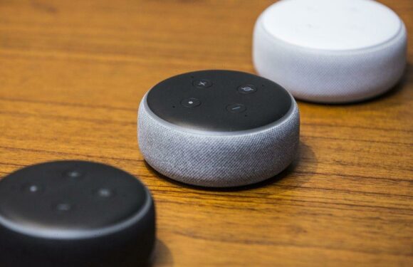 Huge Black Friday Amazon Echo Dot deal is cheapest ever at just £1.64