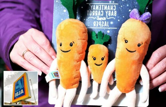 I bought all the Kevin the Carrot toys from Aldi but got roasted by trolls – I didn't think it would cause so much drama | The Sun
