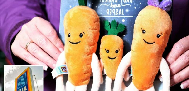 I bought all the Kevin the Carrot toys from Aldi but got roasted by trolls – I didn't think it would cause so much drama | The Sun