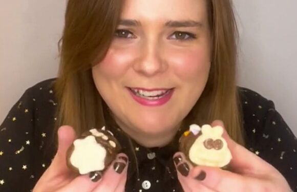 I bought the Colin the Caterpillar mini rolls from M&S and the Aldi dupes – and there's one very obvious difference | The Sun
