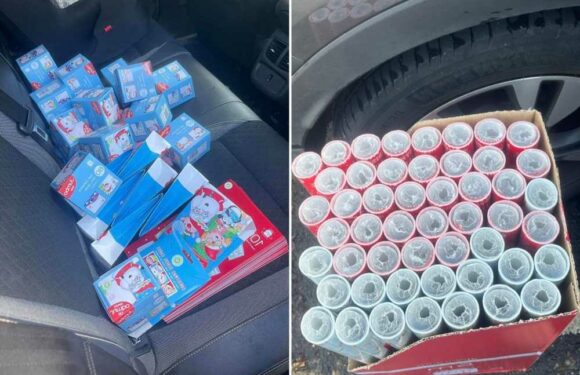 I cleared the shelves when I spotted reduced Christmas essentials in my local shop – I'm trolled but I needed them | The Sun